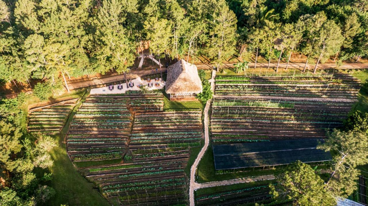 布兰克尼奥克斯山林小屋 圣伊格纳西奥 外观 照片